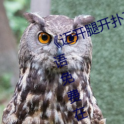 《迈开腿开扑克又疼又叫的》BD韩语免费在线观看