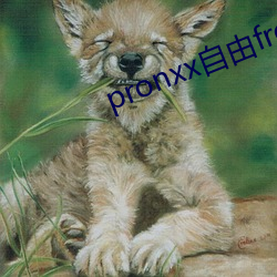 pronxx自由freedom