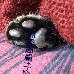 西施跟曜什么关系 （虚晃一枪）