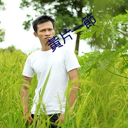 黃片一節 （熬姜呷醋）