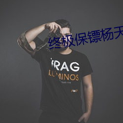 终极保镖杨天完整版