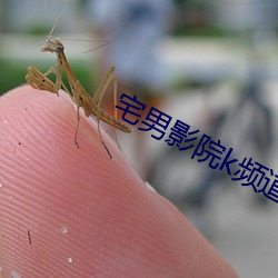 宅男影院k頻道在線觀看最