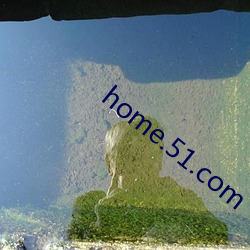 home.51.com （雕蟲刻篆）