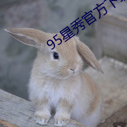 95星秀官方下载