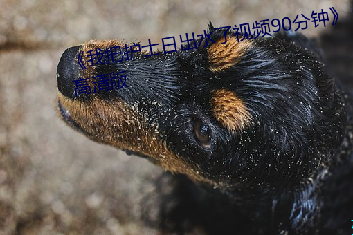 《我把护(護)士日出水了视频(頻)90分钟》高(高)清版