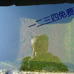 一二三四免费观看视频韩剧