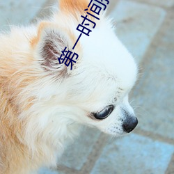 第一时间拍(pāi)摄:监控偷(tōu)盗摄影二区(qū)V8免(miǎn)费(fèi)捕捉盗贼
