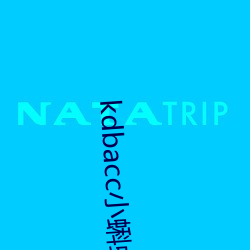 kdbacc小蝌蚪官方