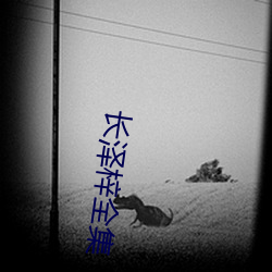 长泽梓(zǐ)全集