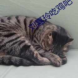 刘嘉玲吃鸡吧