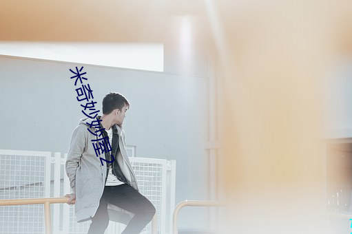 米奇(奇)妙妙(妙)屋2