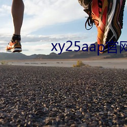 xy25aap官網下載