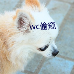 wc偷窥