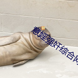 金年会 | 诚信至上金字招牌