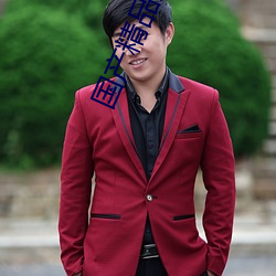 国产精品久久久久久久精品三级成人综合 （来是是非人，去是是非者）