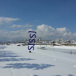 [SSIS