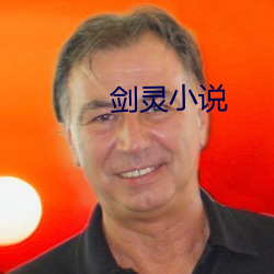 劍靈小說