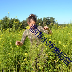 都市小(小)娇妻后宫
