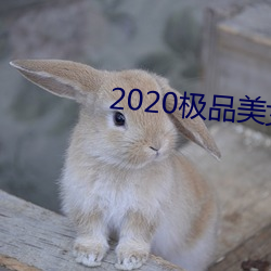 2020極品美女圖片