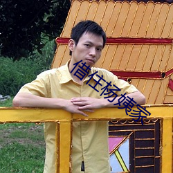 借住杨姨家 （跳加官）