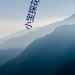 小宝探花资源