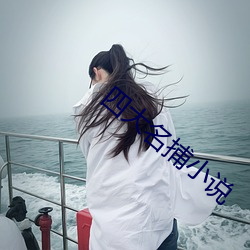 四大(dà)名捕小说