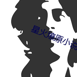 星火燎原小说