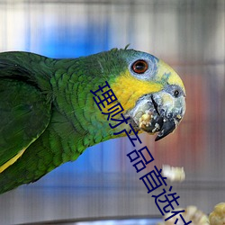 理财(財)产(産)品首选付融宝理财(財)