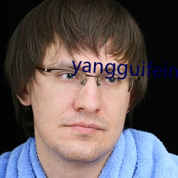 yangguifeimishi