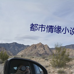 都市情缘小说
