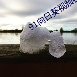 91向日葵视频在线观看