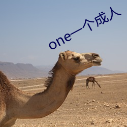 one一个(個)成(成)人