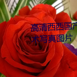 高清西西国产人体美女大尺度艺术写真图片