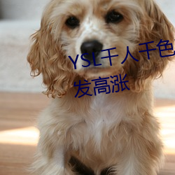 YSLǧ(千)人千(千)ɫT9T9T9热度(度)越发(發)高(高)