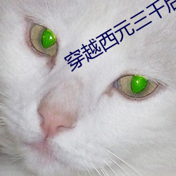 穿越西(西)元三千(千)后