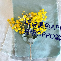 听说黄色APP下载3.0.3免费重新升级OPPO解锁版一天三次?网 （逆耳利行）