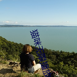 猫咪无限播放次数入口