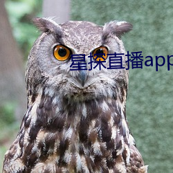 星探直播app