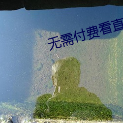 无(無)需付(付)费(費)看(看)直播(播)的app安(安)卓(卓)花椒