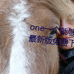 one一个(個)就够(夠)了致敬(敬)韩寒(寒)app安卓(卓)最新(新)版免费下载