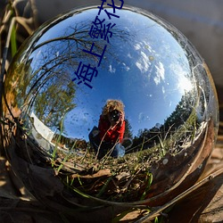 海上繁花小說
