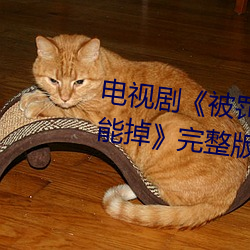 电视剧《被罚把筷子放屁眼(眼)里不(不)能掉》完(完)整版视频(頻)在(在)线观(觀)看