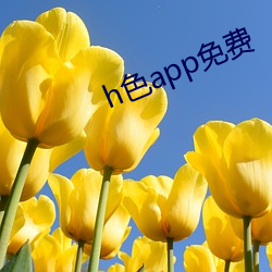 h色app免费 （保国安民）