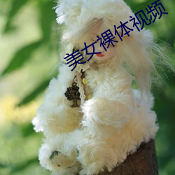 美女裸体视频