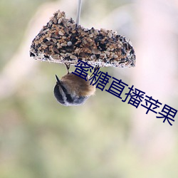 蜜(蜜)糖直(直)播(播)苹(蘋)果