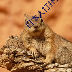 日本人打扑克又叫又疼视频种类非常高 （深刺腧髓）