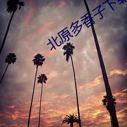 北(běi)原多香子下载