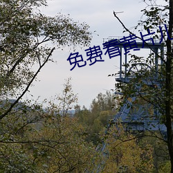 免費看黃片兒的APP