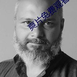 爽片免费观看网站