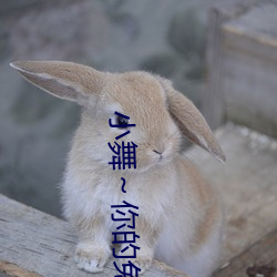 小舞～你的兔子好软水好游戏:所有的精彩视频(pín)影(yǐng)片(piàn)无限观看(kàn)